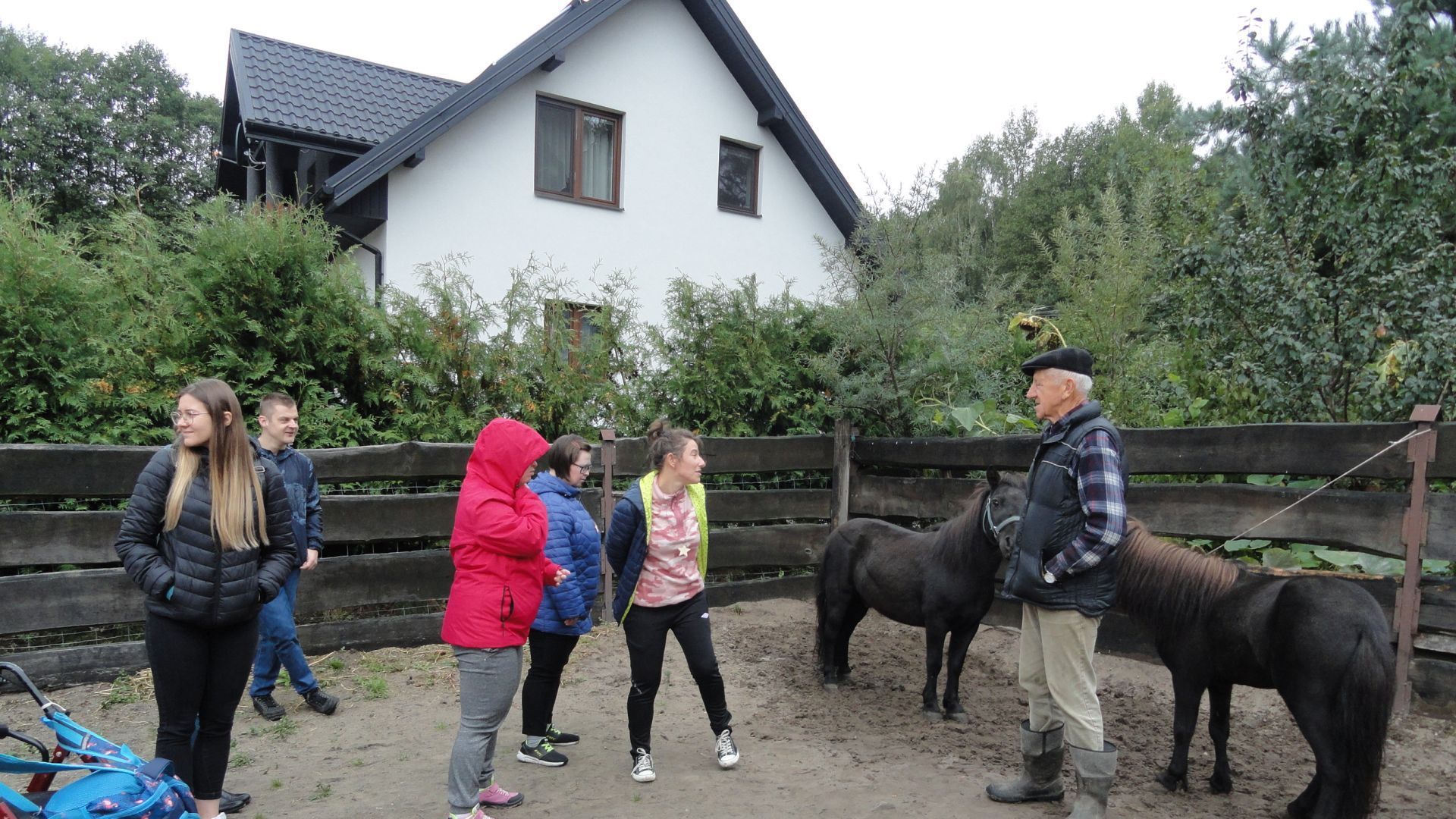 Uczestnicy patrzący na dwa kucyki.