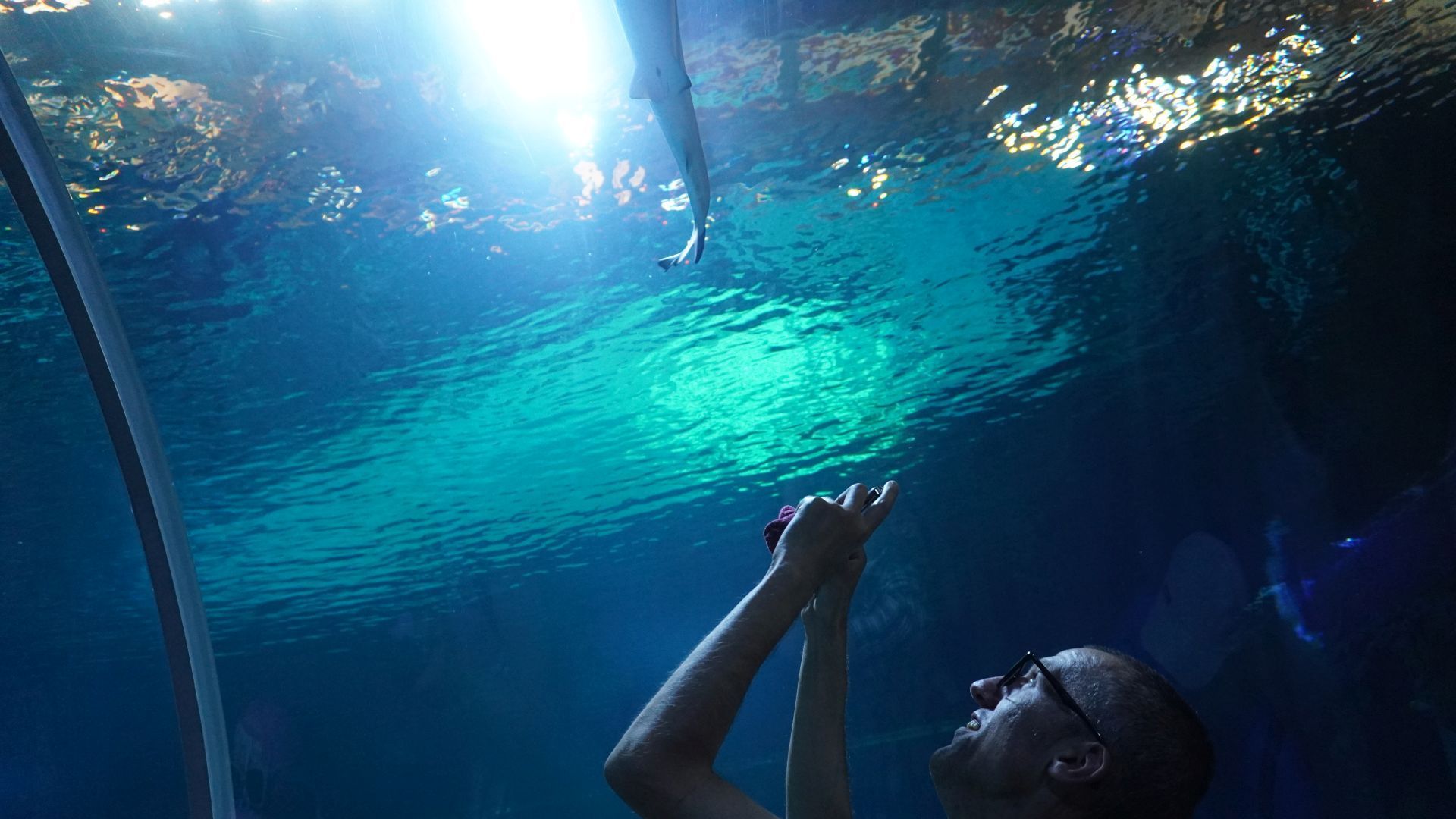 Grzegorz robi zdjęcie w podwodnym tunelu w Orientarium. 