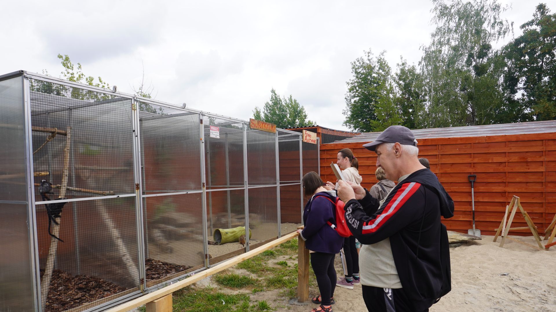 Uczestnik robi zdjęcie surykatkom w Mini Zoo na ''Farmie Goławice''.