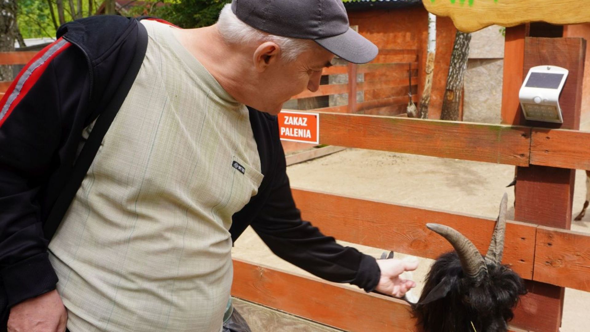 Uczestnik Tadeusz pozuje do zdjęcia z mini kozą w Mini Zoo na ''Farmie Goławice''.