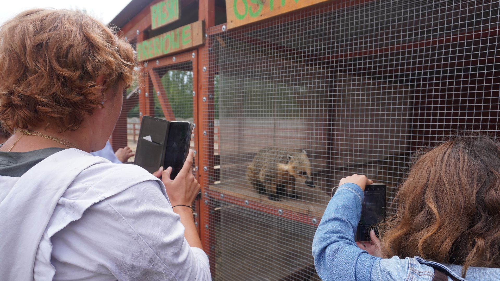Uczestniczki robią zdjęcia ostronosowi w Mini Zoo na ''Farmie Goławice''.