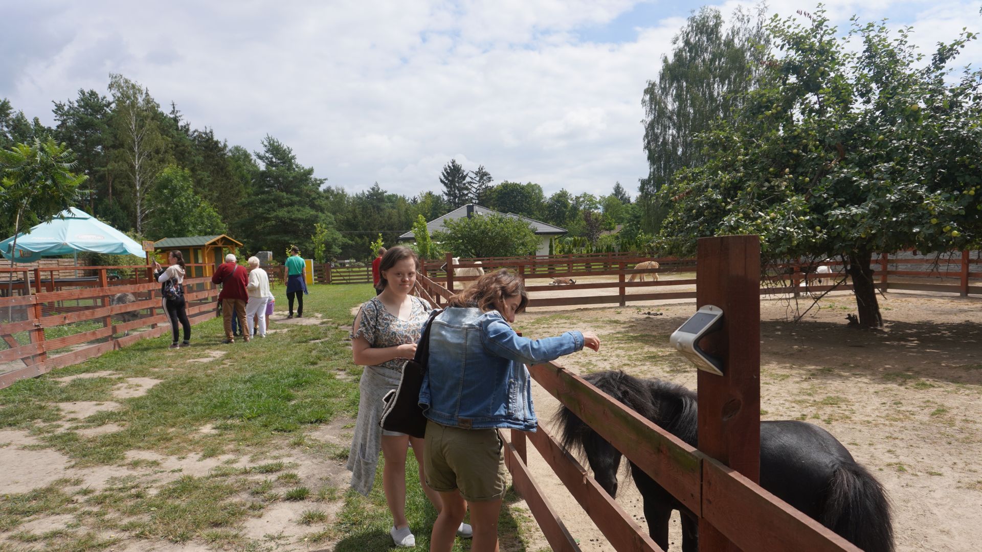 Uczestniczki oglądają kucyki podczas zwiedzania Mini Zoo na ''Farmie Goławice''.