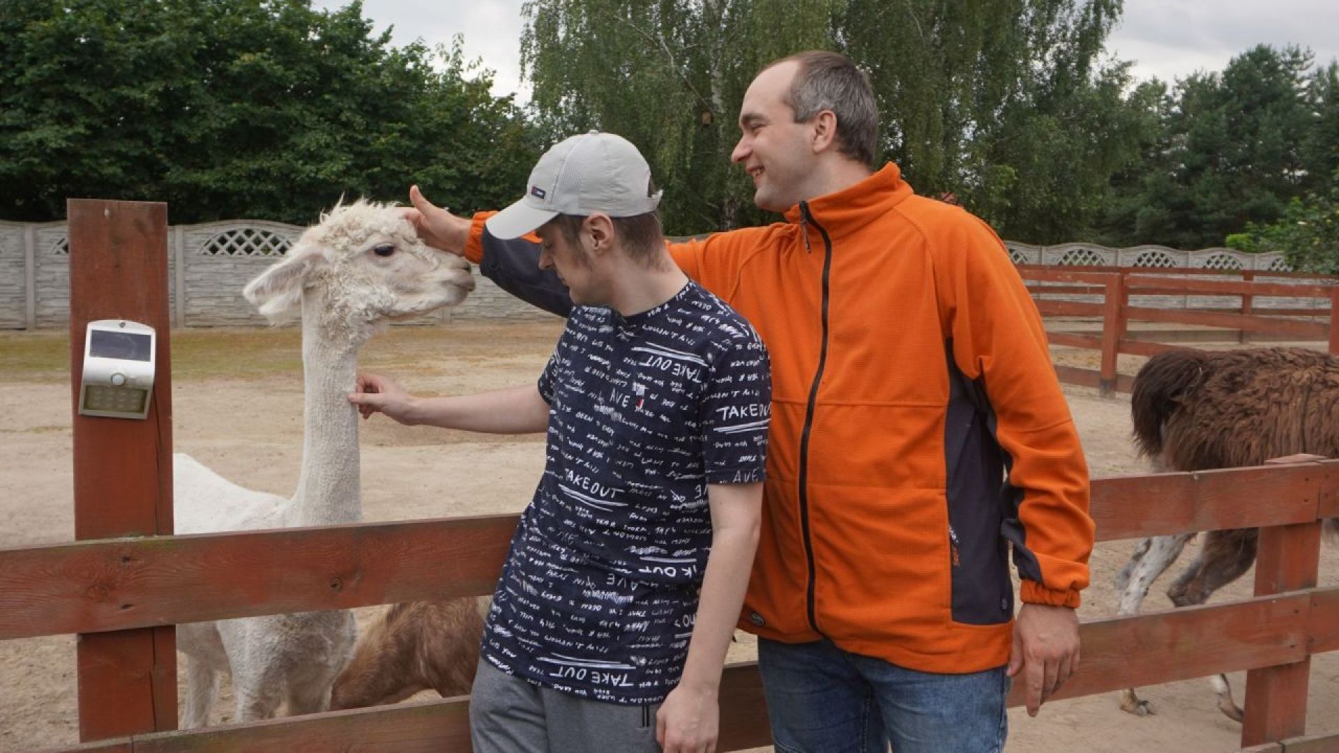 Uczestnicy Konrad i Łukasz głaszczą alpakę w Mini Zoo na ''Farmie Goławice''.