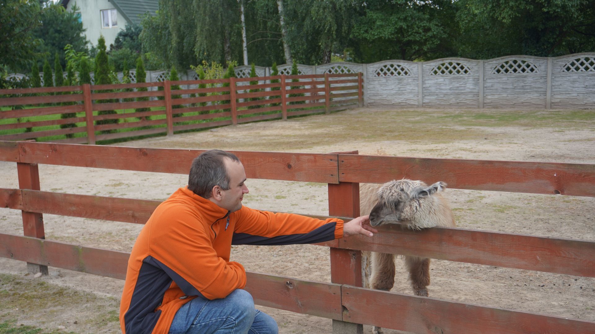 Uczestnik Konrad z alpaką w Mini Zoo na ''Farmie Goławice''.