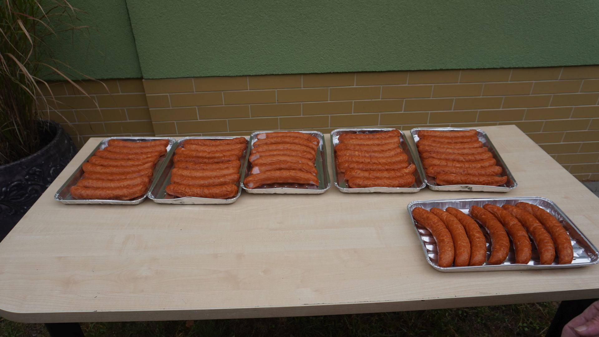 Przygotowane kiełbaski do grillowania z okazji Dnia Pieczonego Ziemniaka.