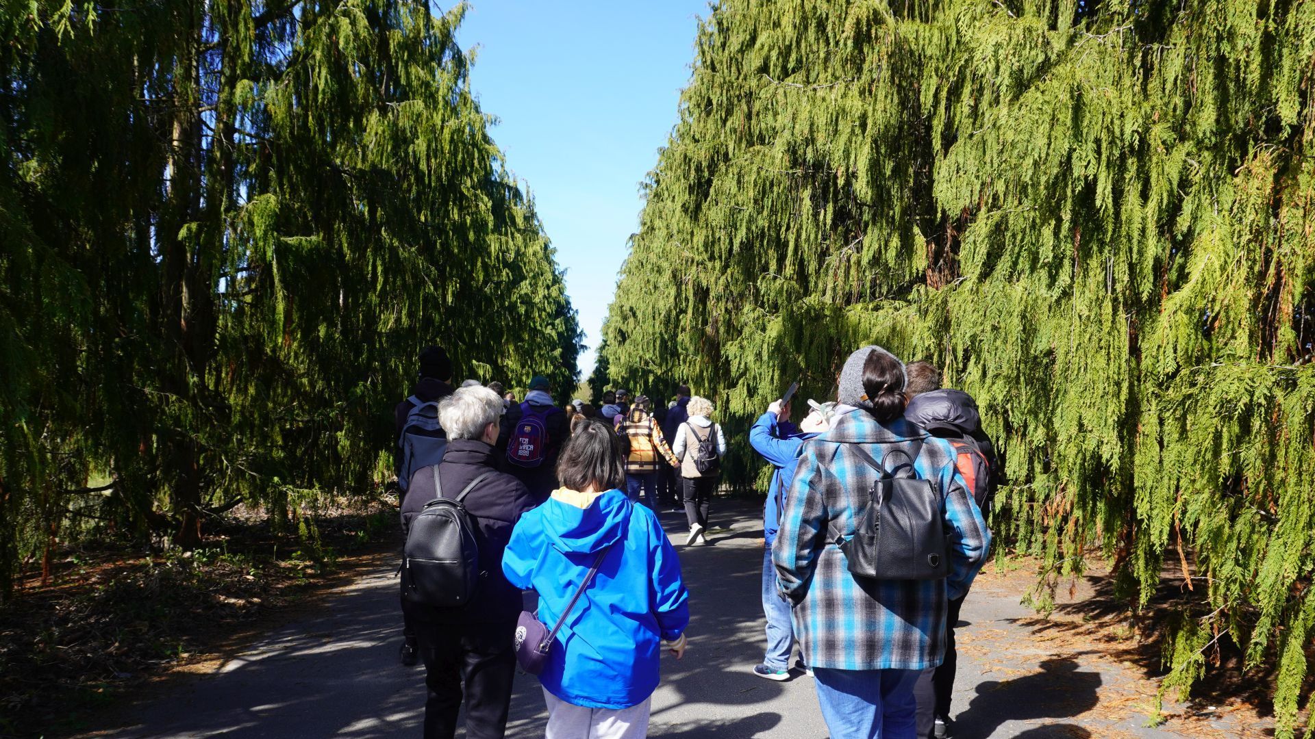 Uczestnicy wraz z opiekunami podczas wycieczki do Ogrodu Botanicznego w Powsinie.