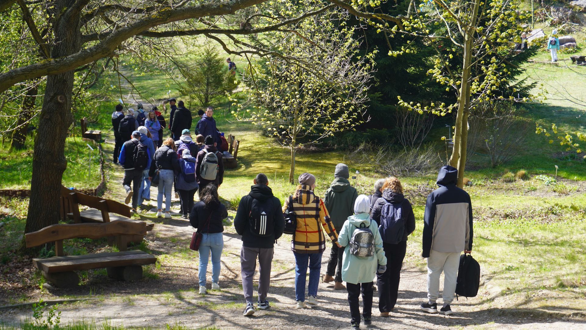 Uczestnicy spacerują podczas wycieczki do Ogrodu Botanicznego w Powsinie.