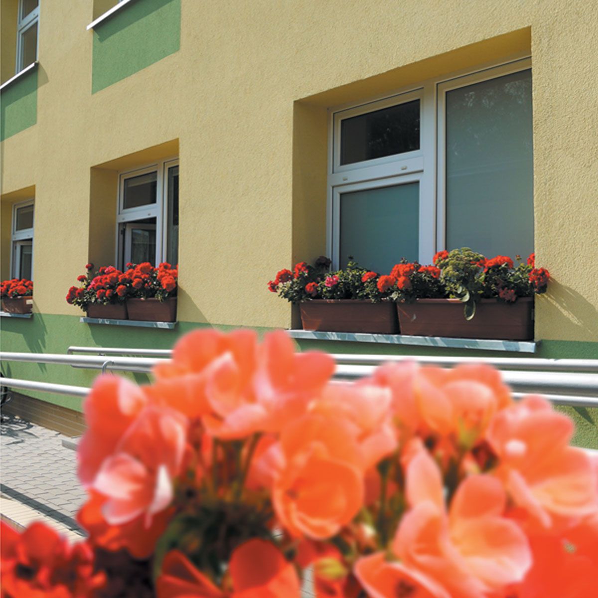 Fragment ściany budynku przy wejściu do placówki. Na parapetach okiennych donice z czerwonymi kwiatami pelargonii. Fragment ściany budynku przy wejściu do placówki. Na parapetach okiennych donice z czerwonymi kwiatami pelargonii.